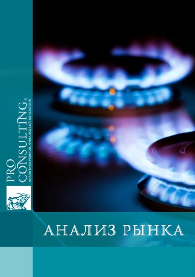 Анализ рынка природного газа в Украине. 2019-2023 гг.